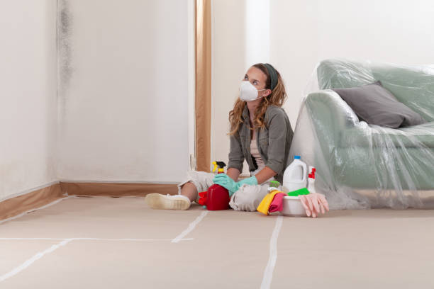 Reliable Mold Inspection And Testing contractor in Round Rock, TX by Mold Remediation HQ